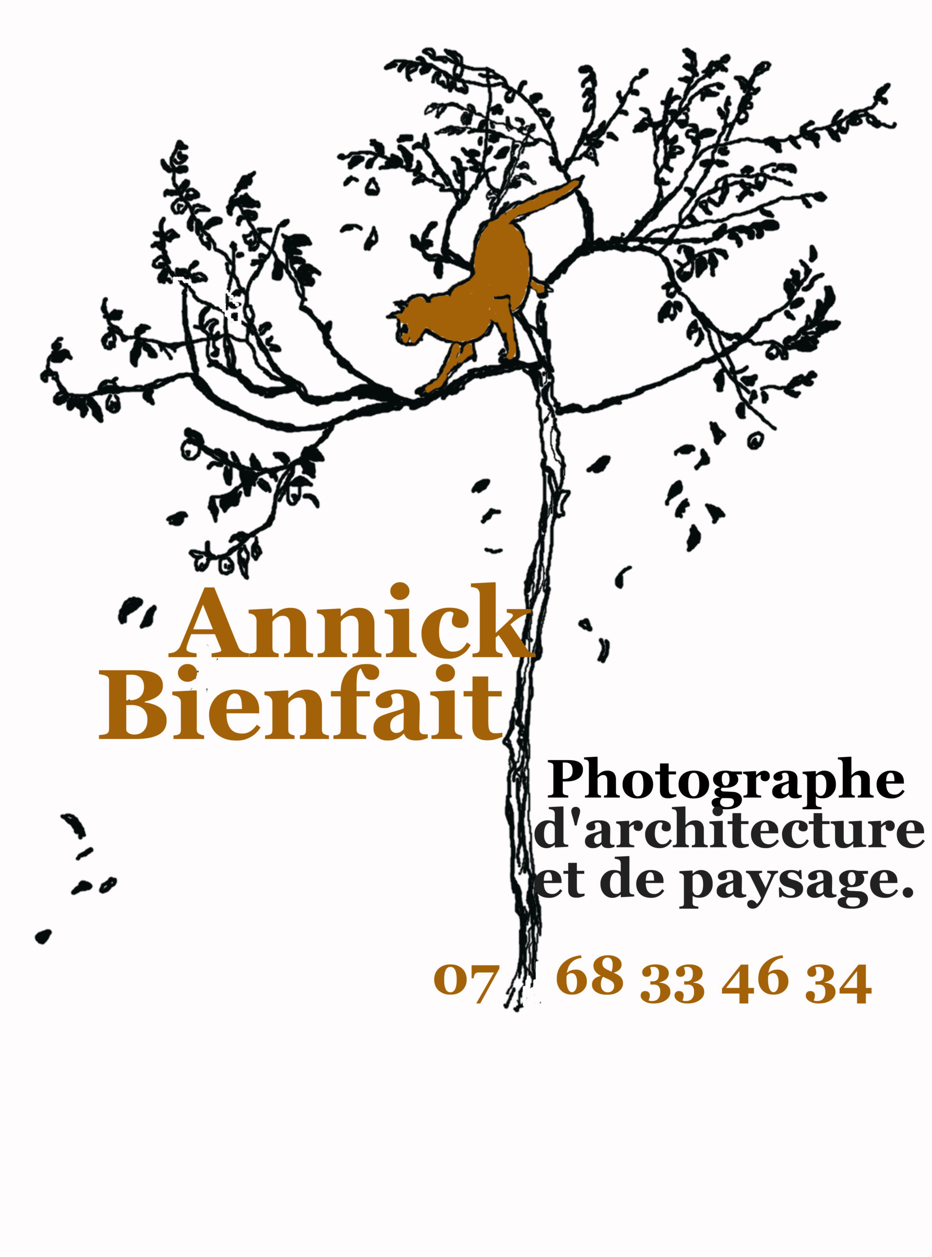 Photographe Architecture -Annick Bienfait